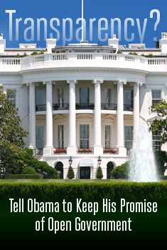 Take action with Credo to benefit EFF!